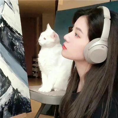 暗宅之谜