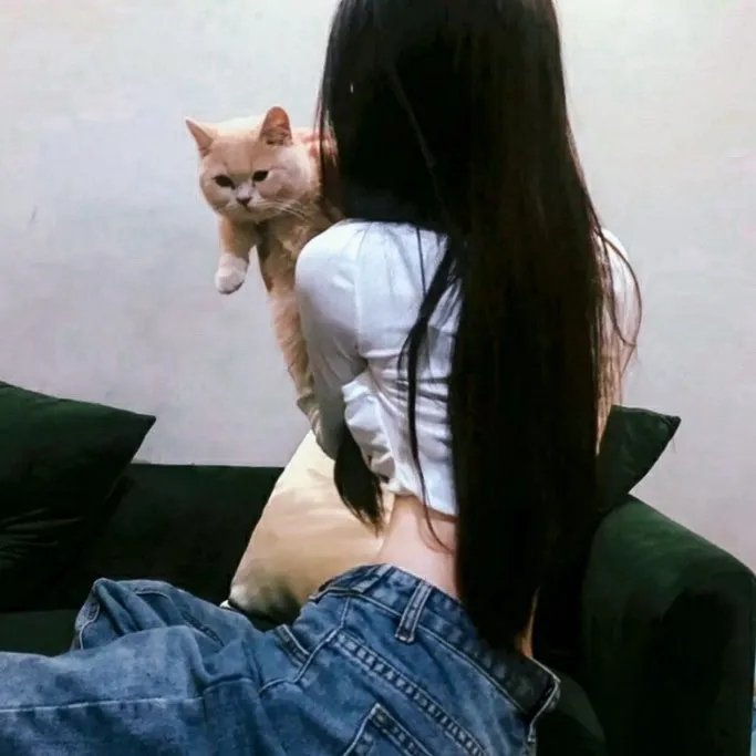 猎狐行动